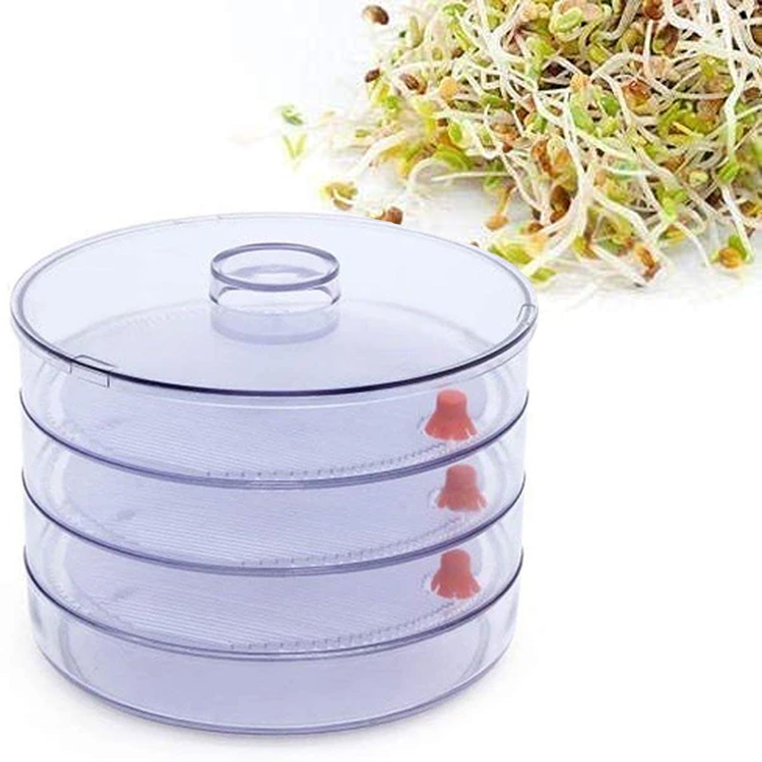 070 Plastic 4 Compartment Sprout Maker, White MPS Traders