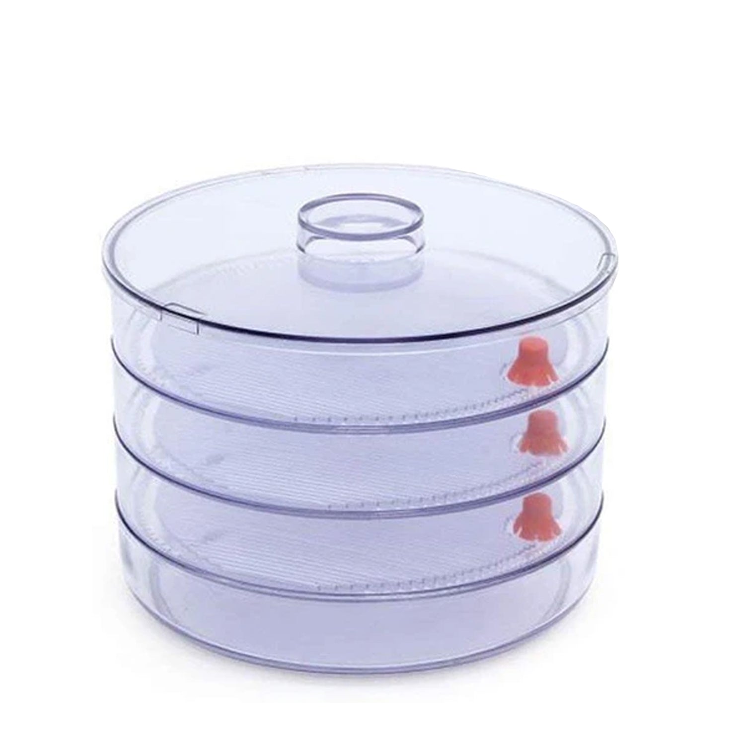 070 Plastic 4 Compartment Sprout Maker, White MPS Traders