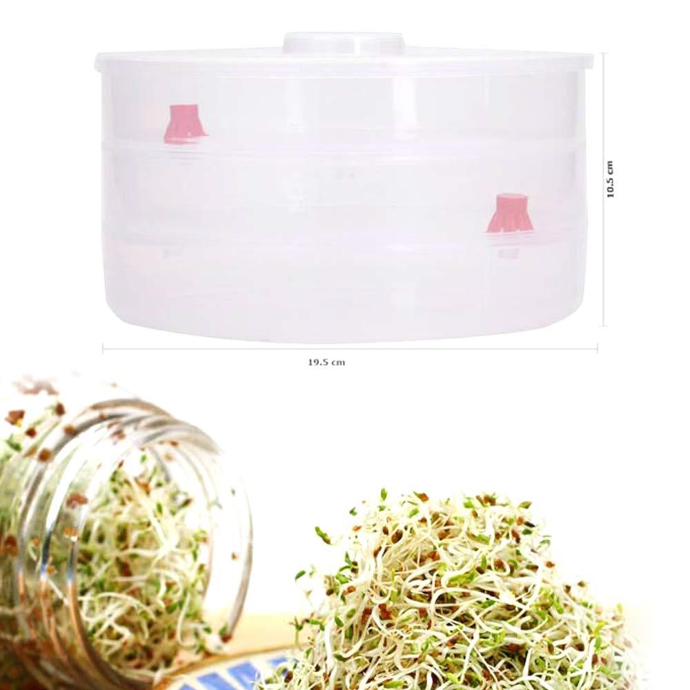 093 Plastic 3 Compartment Sprout Maker, White MPS Traders